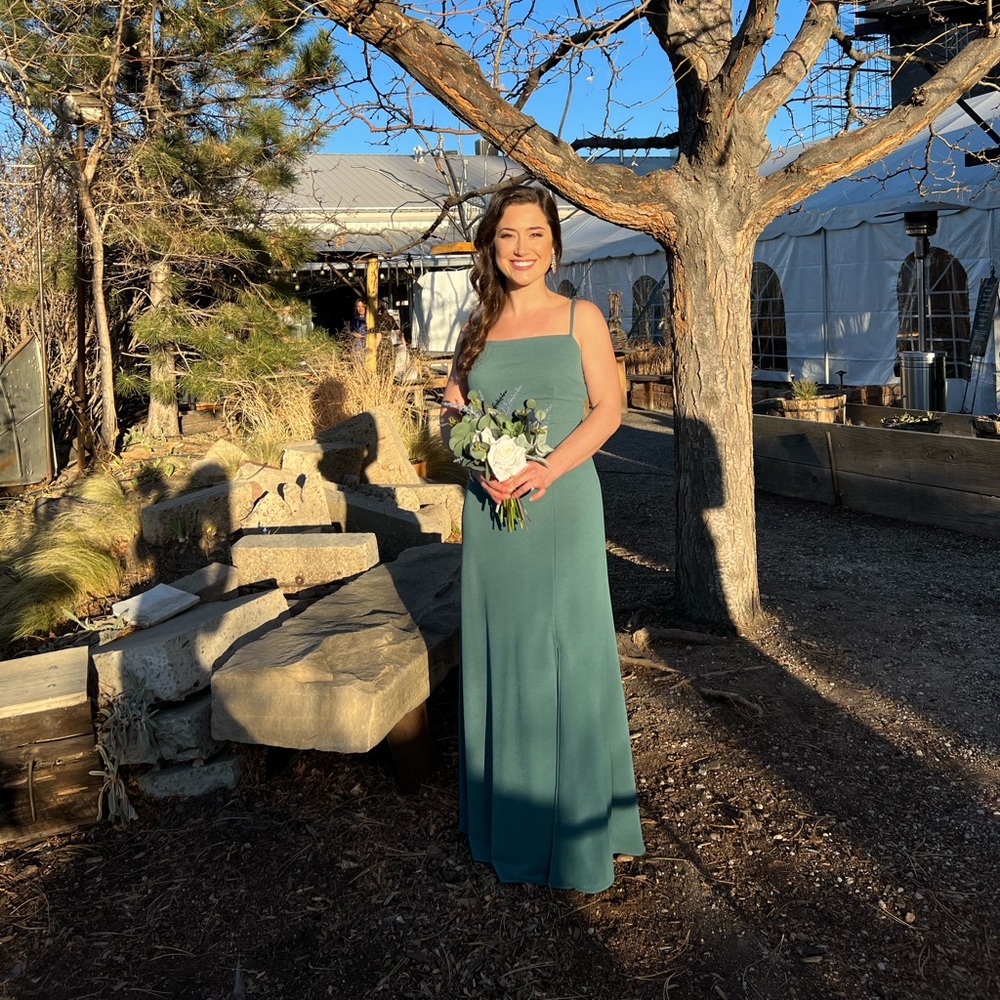 Birdy Grey Benny Dress in Sea Glass Crepe